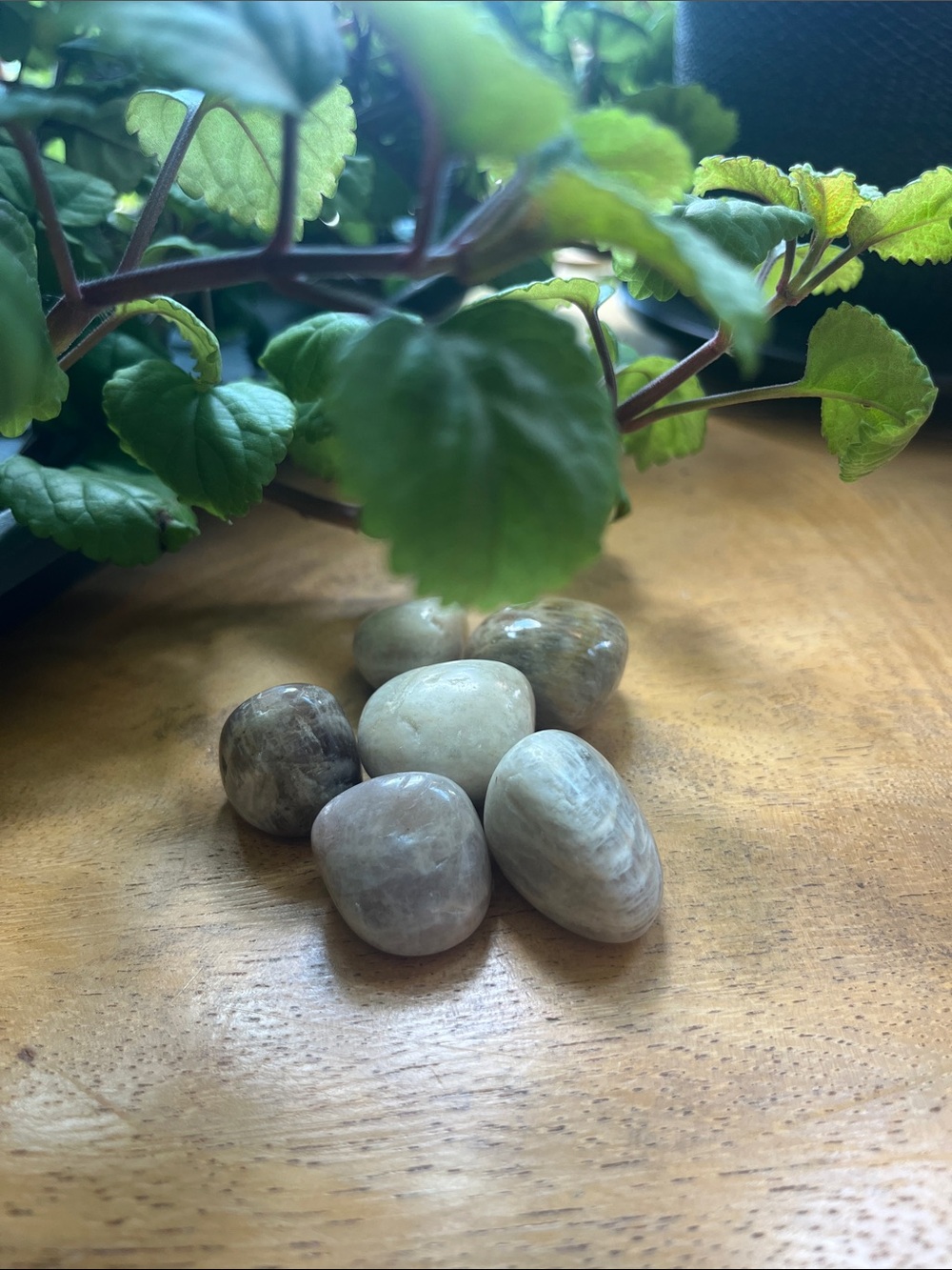 3/$15 Sun and Moonstone Tumbles Set of 6